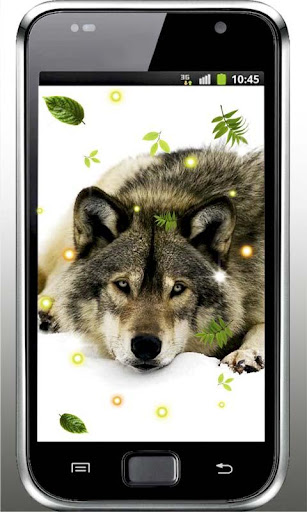 【免費個人化App】Wolves Gallery live wallpaper-APP點子