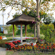 菁芳園 Tenway Garden／花園餐廳／落羽松