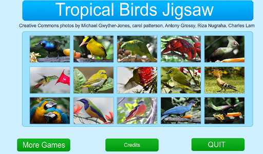 Tropical Birds Jigsaw