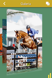 CBH-Conf.Brasileira de Hipismo poster 11