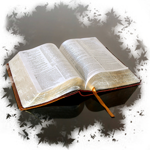 Bible Trivia Challenge 1.0