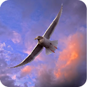 Bird Flying and Freedom logo