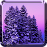 Snow Live Wallpaper Application icon