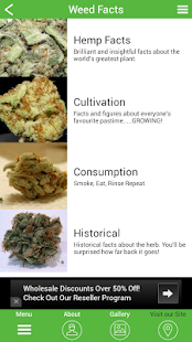 How to get Weed Facts 7.0.0 unlimited apk for android