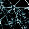 DNA in 3D
