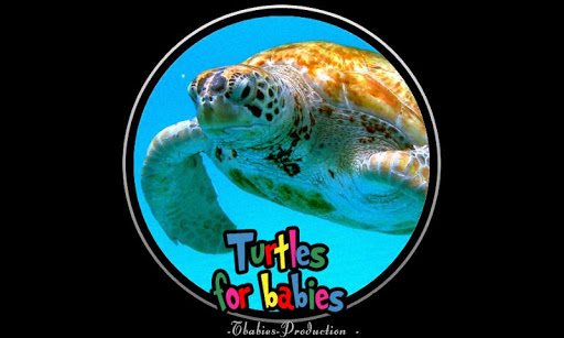 turtles for babies