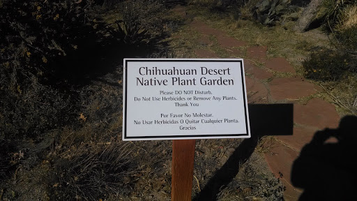 Chihuahuan Desert Garden