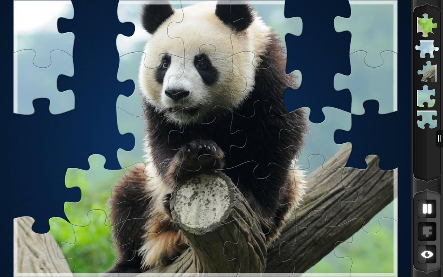 magic jigsaw puzzles