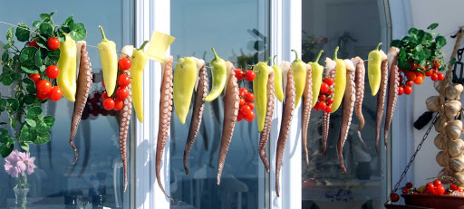 Octopus sun-drying out of the restaurant Mama Thira in the Firostefani neighborhood of Santorini, Greece.