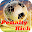 World Cup Pentaly Kick 2014 Download on Windows