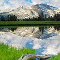 Dream Nature Scenery Pics logo