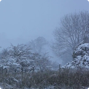 Winter Snowing Live Wallpaper.apk 1.0