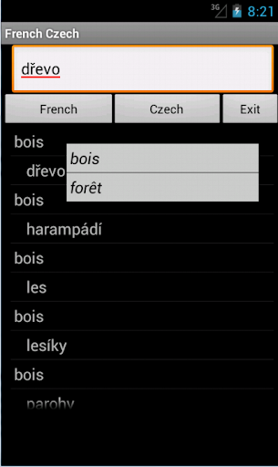 French Czech Dictionary