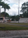 Half Pipe -  Skate Park 