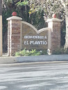 Welcome to El Plantio