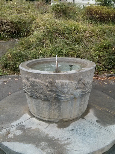 Brunaustrasse Fountain