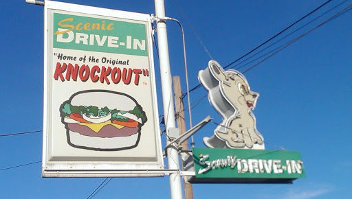 Scenic Drive-In Vintage Neon Sign
