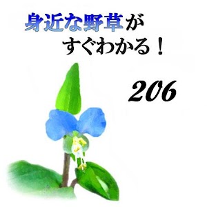 身近な野草がすぐわかる logo
