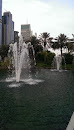 Twin Fountains of Twin Towers