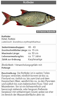 How to download Fischbestimmung FishFinder 3.0 0.8.5 apk for android