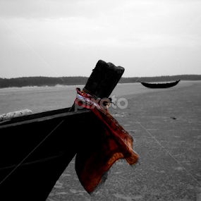 Sailing on the Shore by Kushal Ghosh - Transportation Boats