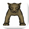 Jungle Slots logo