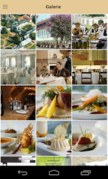 schlosshotel pillnitz poster 8