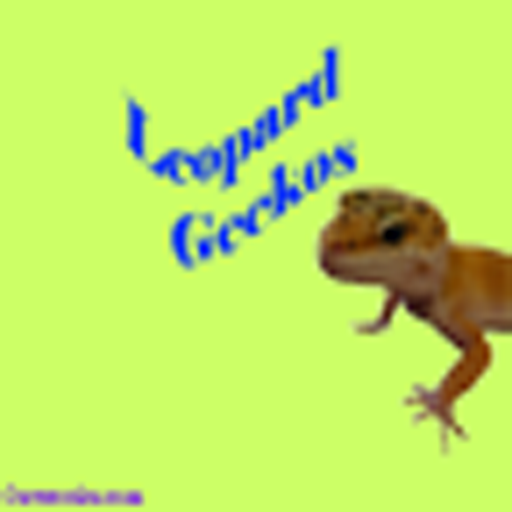 Leopard Geckos LOGO-APP點子