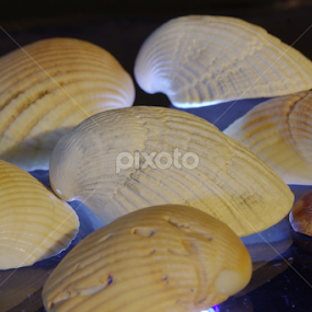 by Chris DiNapoli - Artistic Objects Other Objects