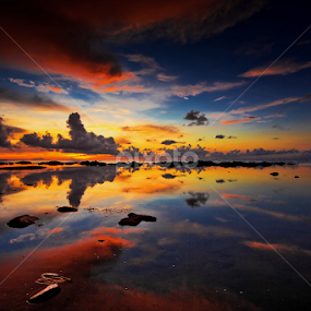 THE REFLECTION by Md Arif - Landscapes Waterscapes