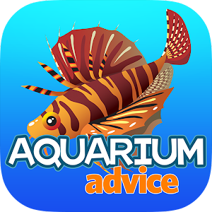 Aquarium Advice for PC and MAC