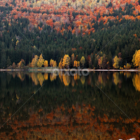Twin worlds by Daniel Guta - Novices Only Landscapes