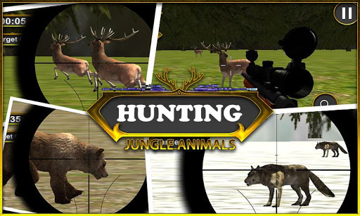 hunting Jungle Animals