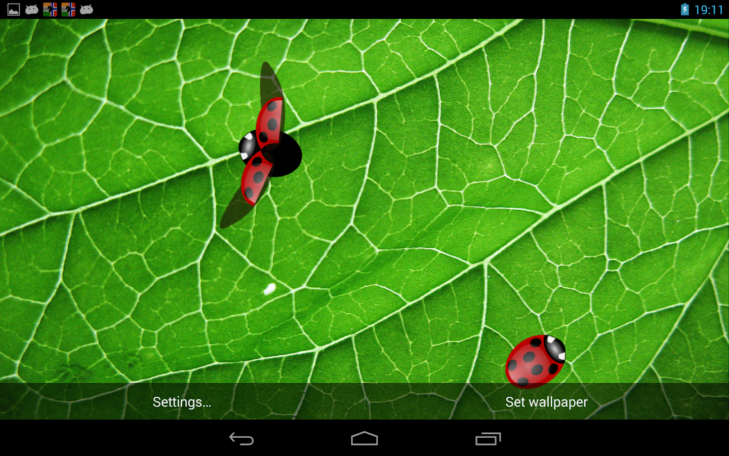 Kepik Wallpaper Hidup Apl Android Di Google Play