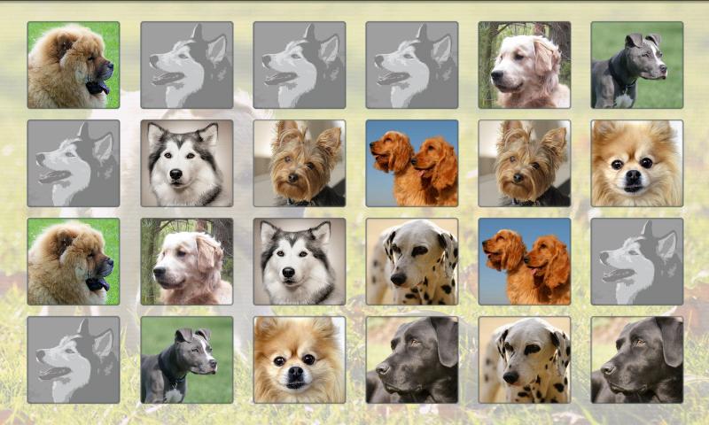 Mary Memory Game