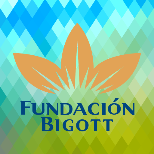 Calendario Fundación Bigott LOGO-APP點子