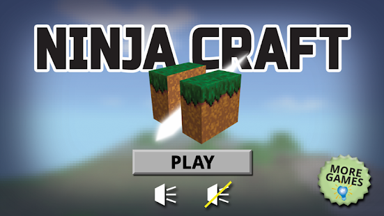 Ninja Craft