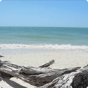 Exotic Beach Live Wallpaper HD logo