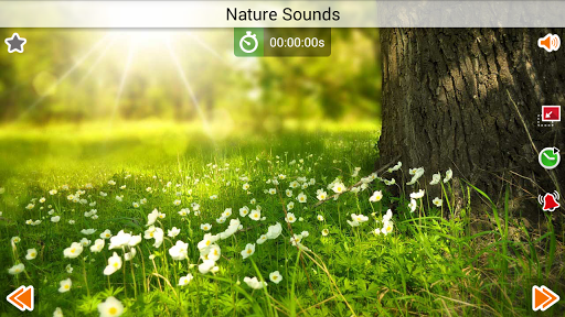 免費下載音樂APP|Nature Sounds app開箱文|APP開箱王