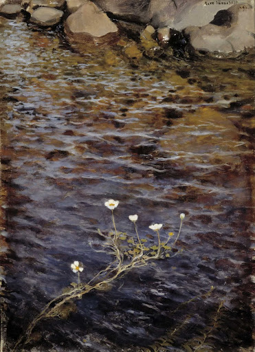 Pond Water Crowfoot