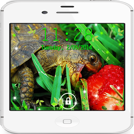 Turtles Сute live wallpaper LOGO-APP點子