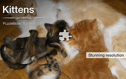 Kitten Jigsaw Puzzles Demo poster 9