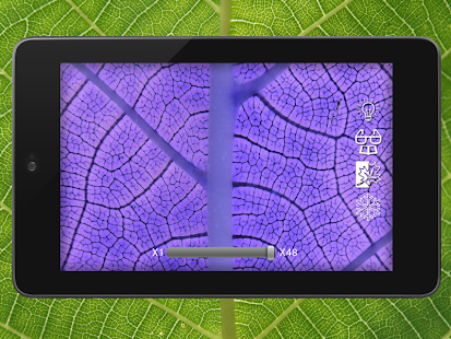 Download Magnifying glass APK for PC