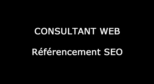 Consultant Web paris