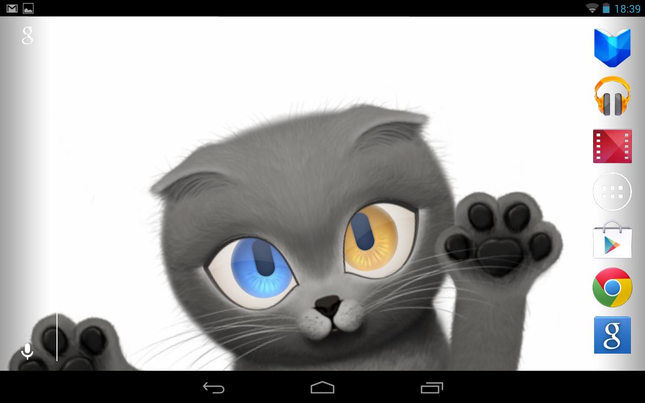 Kucing Lucu Wallpaper Hidup HD Apl Android Di Google Play
