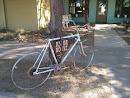 Astor House Bicycle