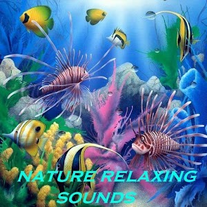 Nature Relaxing Sounds.apk 1.0