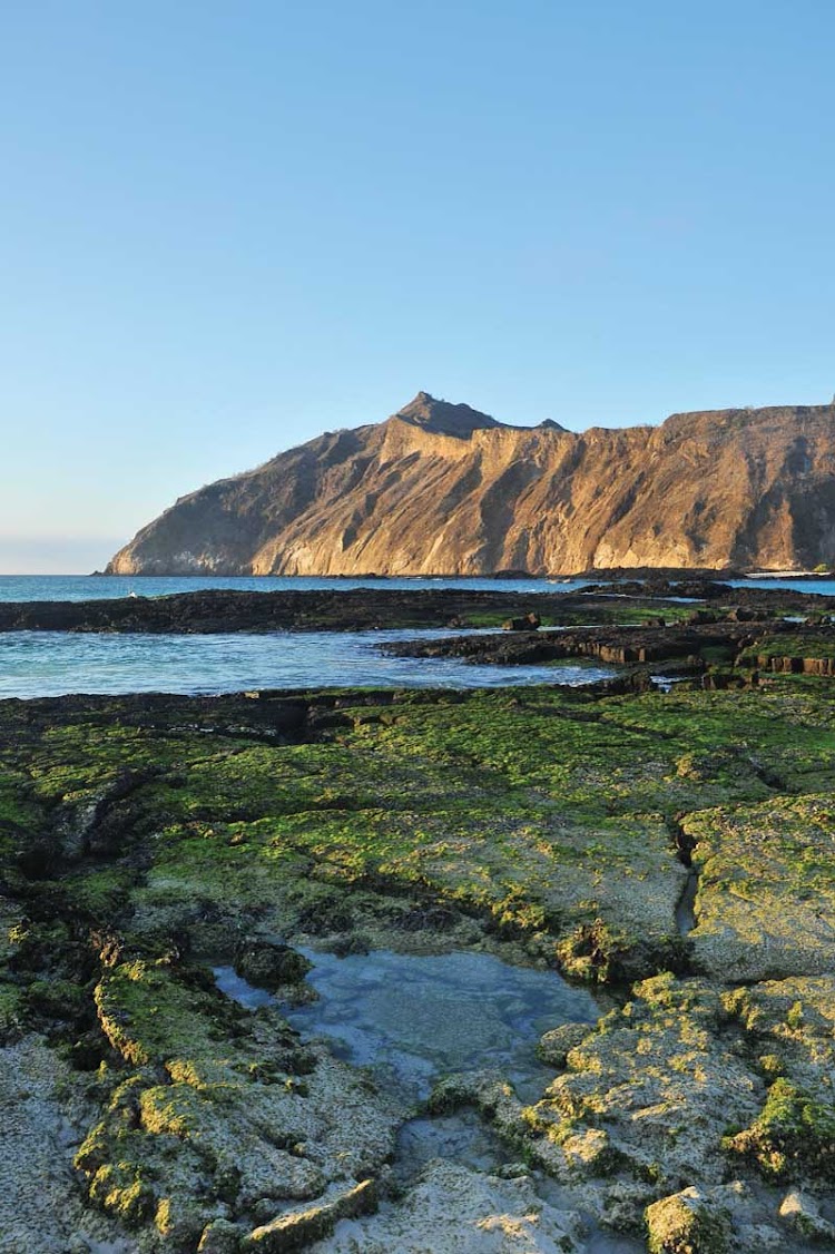You can swim, snorkel or kayak with sea lions and marine iguanas right from Cerro Brujo, a pristine white coral beach.
