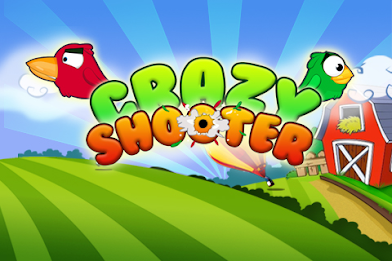 Crazy Shooter poster 1