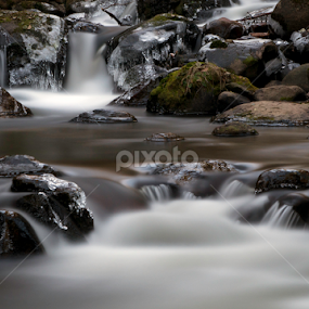 by Larry Rogers - Nature Up Close Water